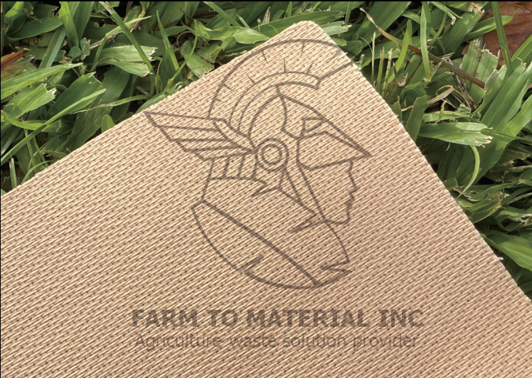 BNNs Basket 籃邊布